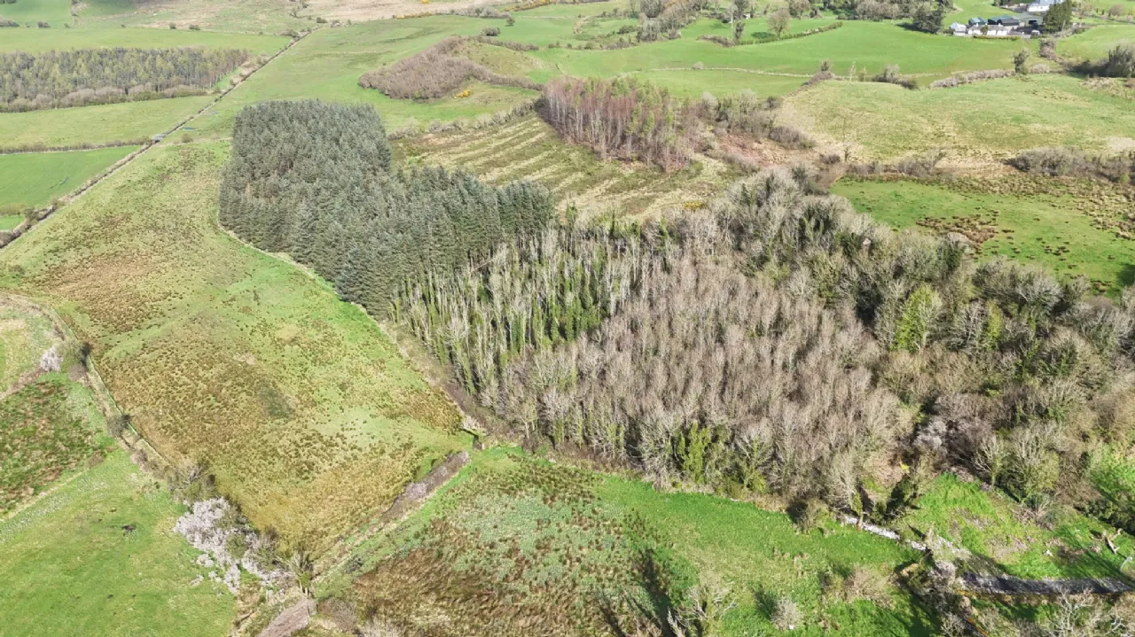 Photo of Lislackagh, Swinford, Co. Mayo