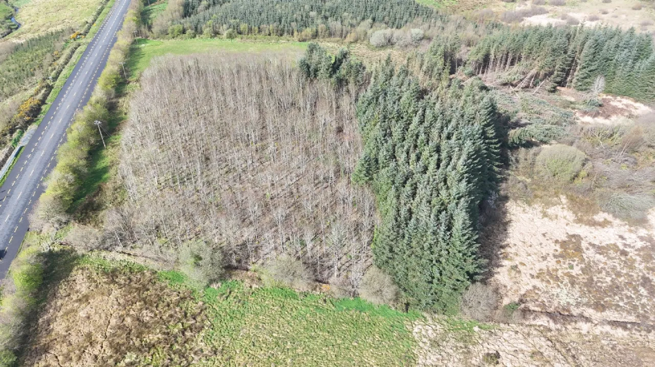 Photo of Lislackagh, Swinford, Co. Mayo