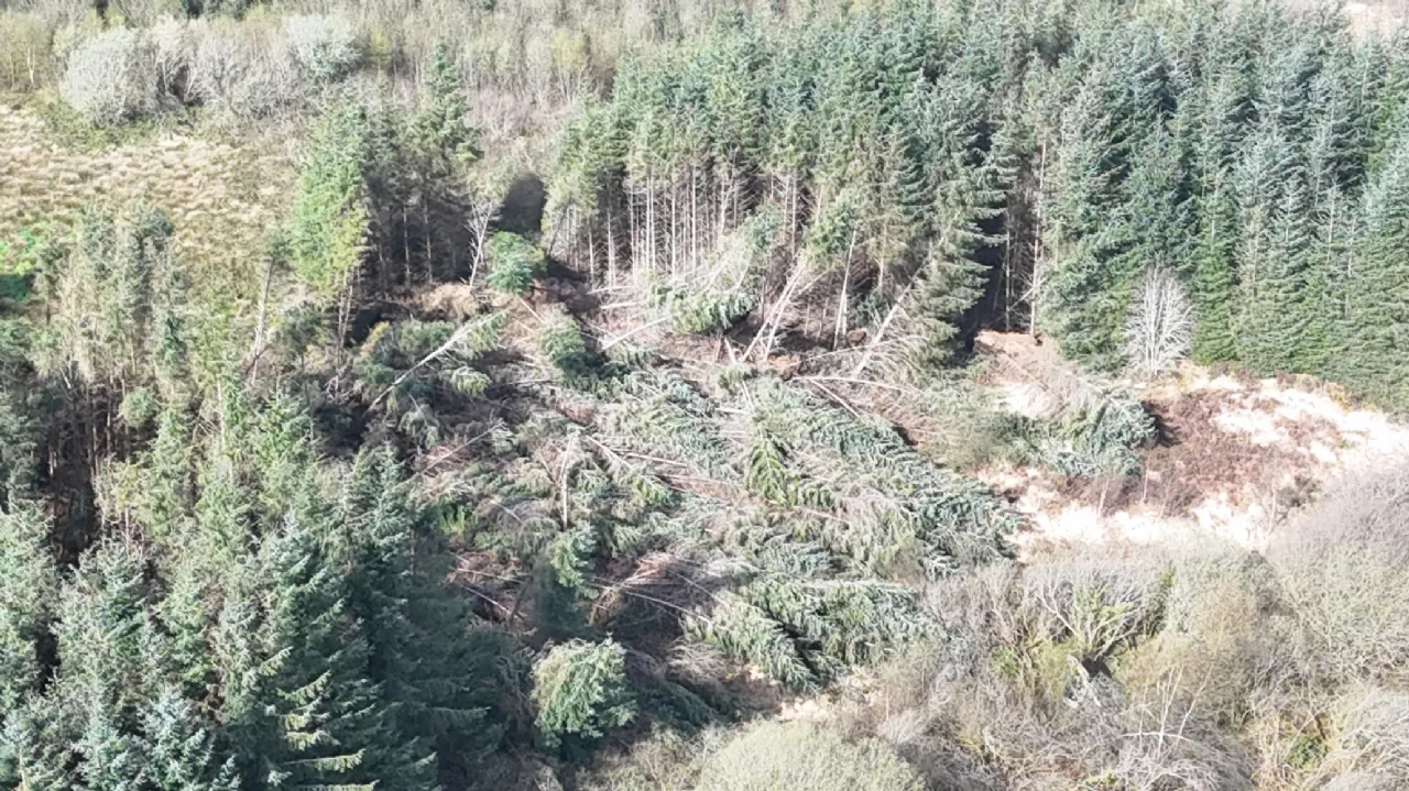 Photo of Lislackagh, Swinford, Co. Mayo