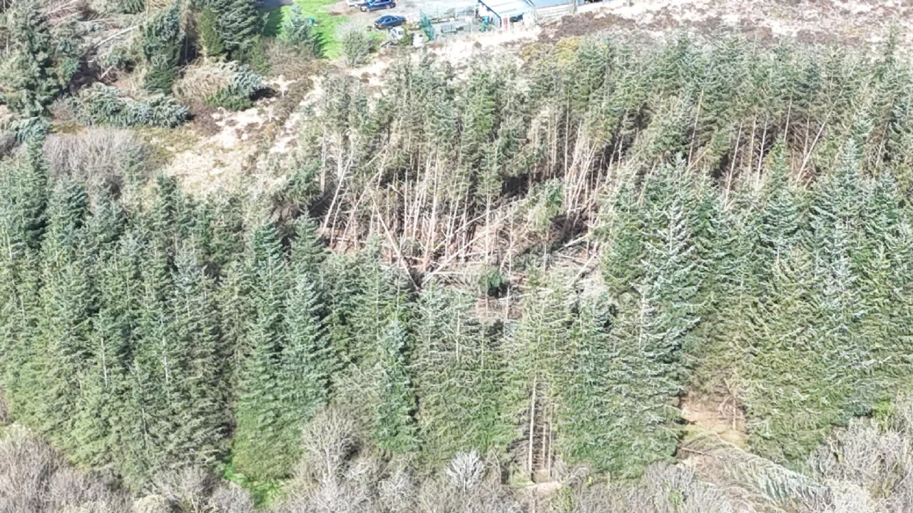 Photo of Lislackagh, Swinford, Co. Mayo