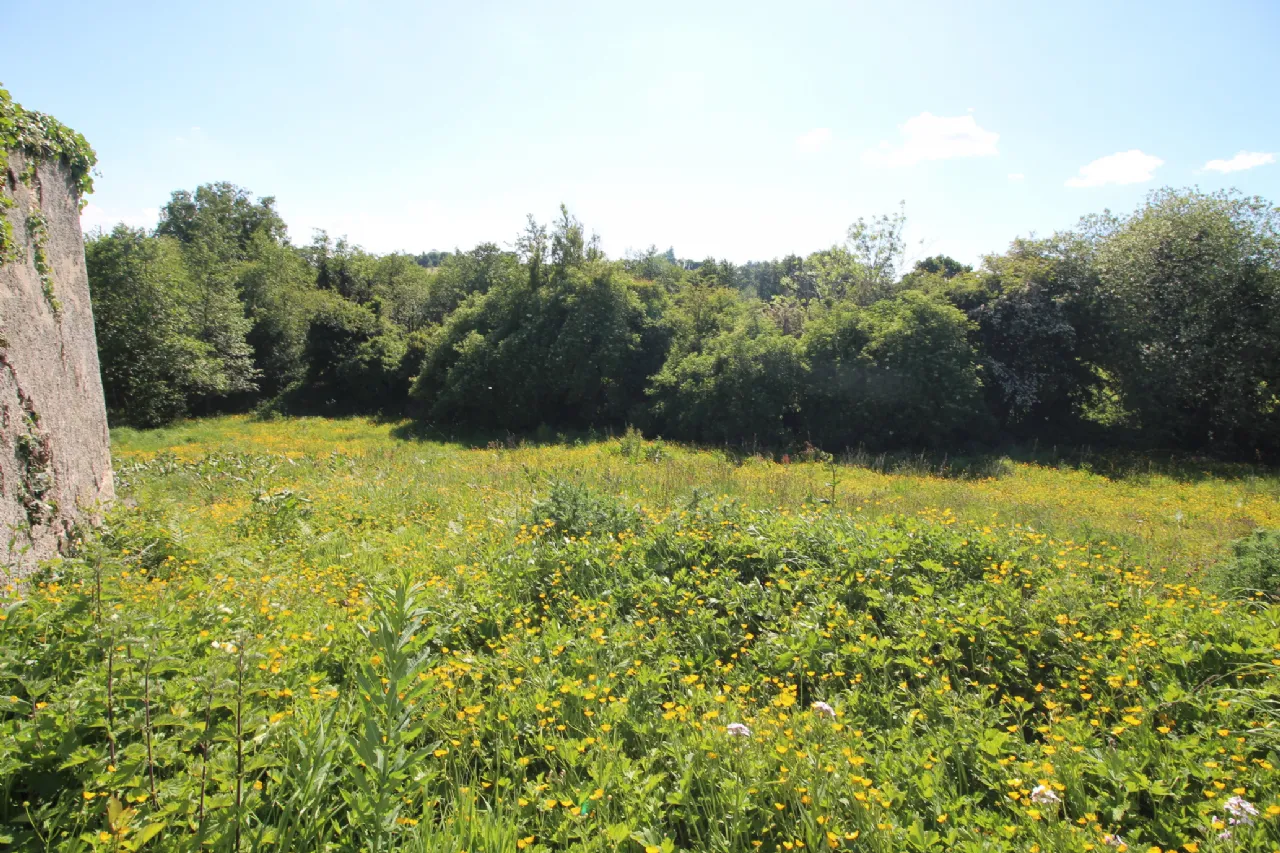 Photo of Drumbreanlis, Carrigallen, Co. Leitrim