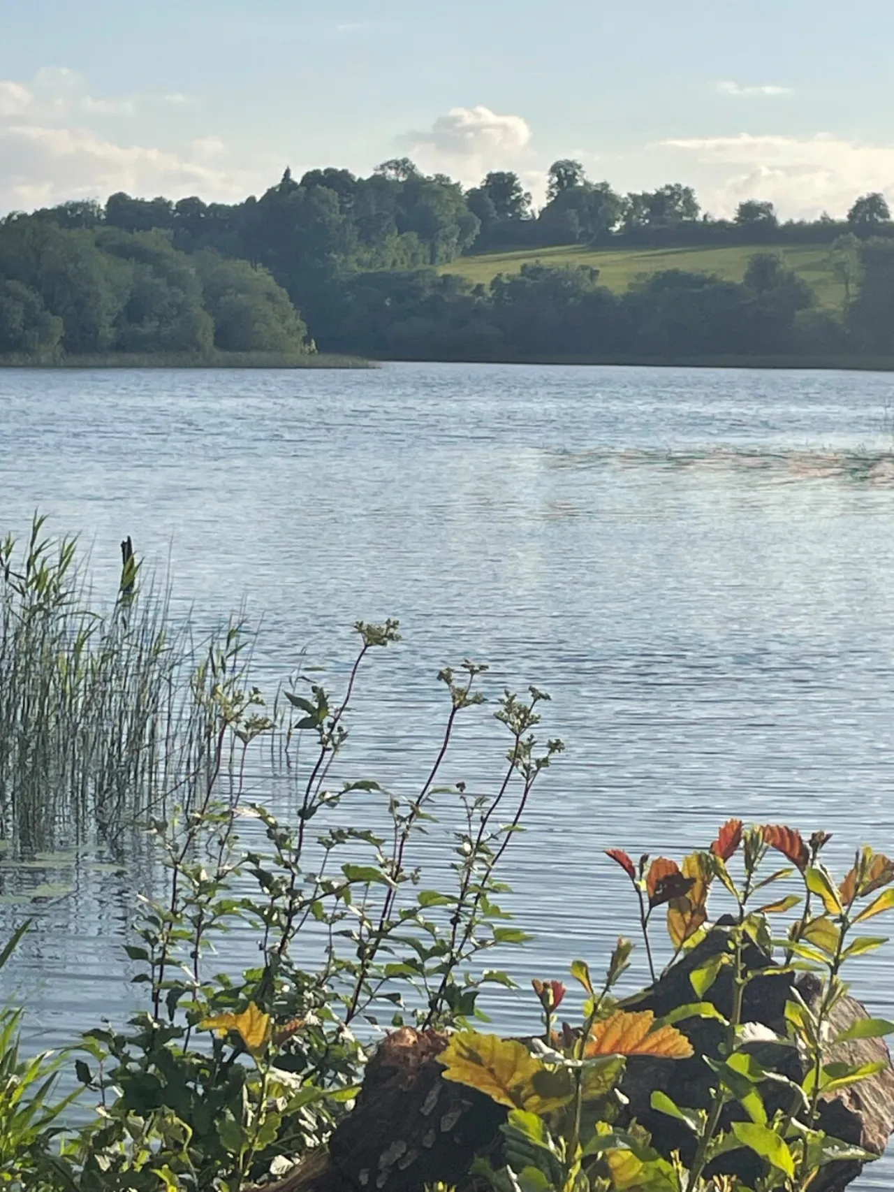 Photo of Drumbreanlis, Carrigallen, Co. Leitrim