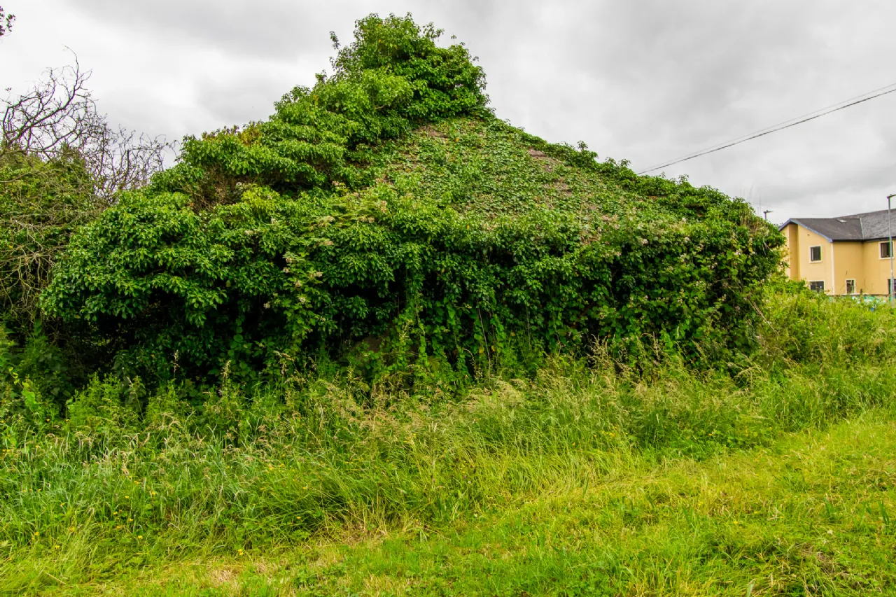 Photo of Scramoge, Roscommon, Co. Roscommon