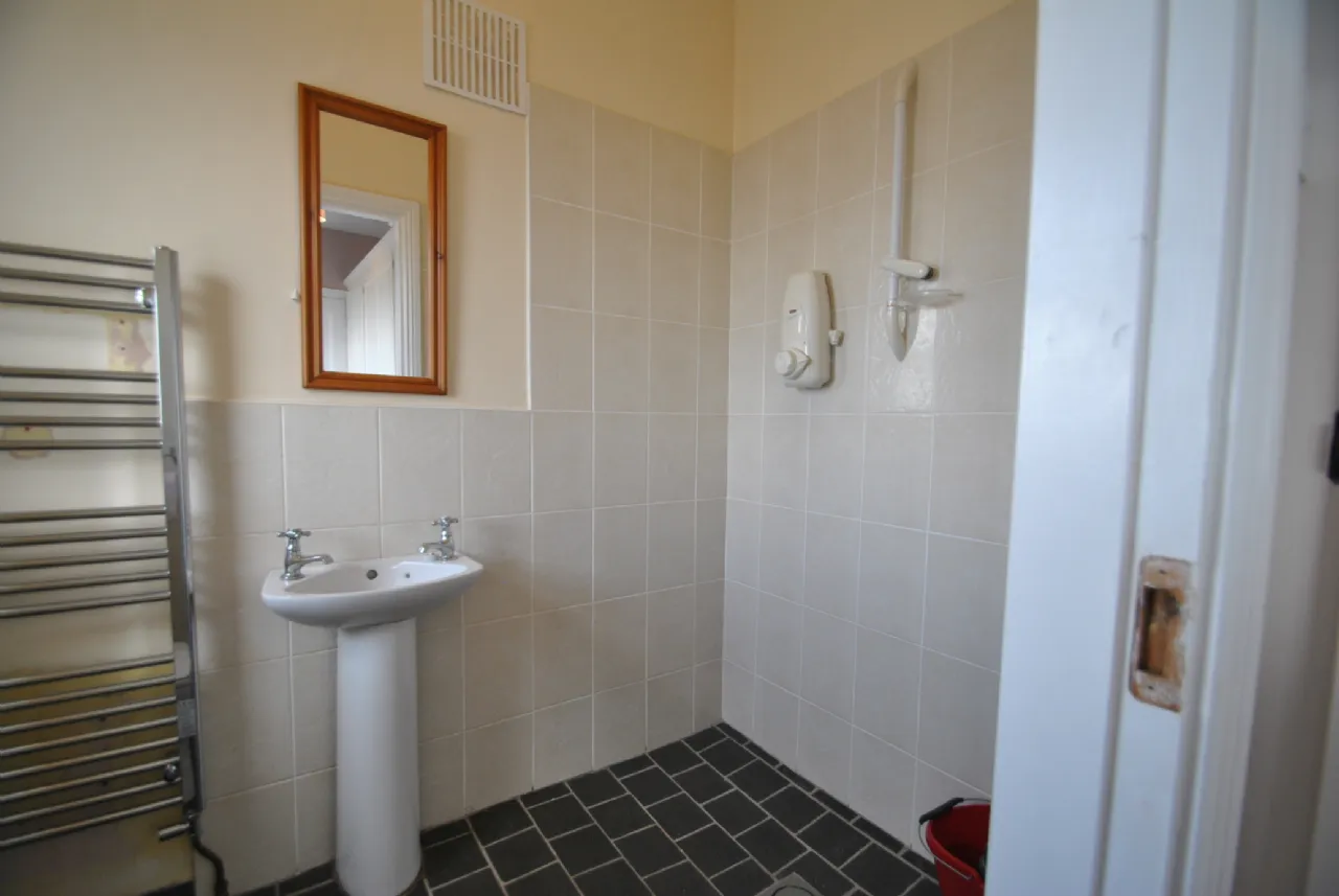 Photo of Rath House On Approx. 8.2 Acres, Ballygague, Ballacolla, Co Laois, R32 XE98