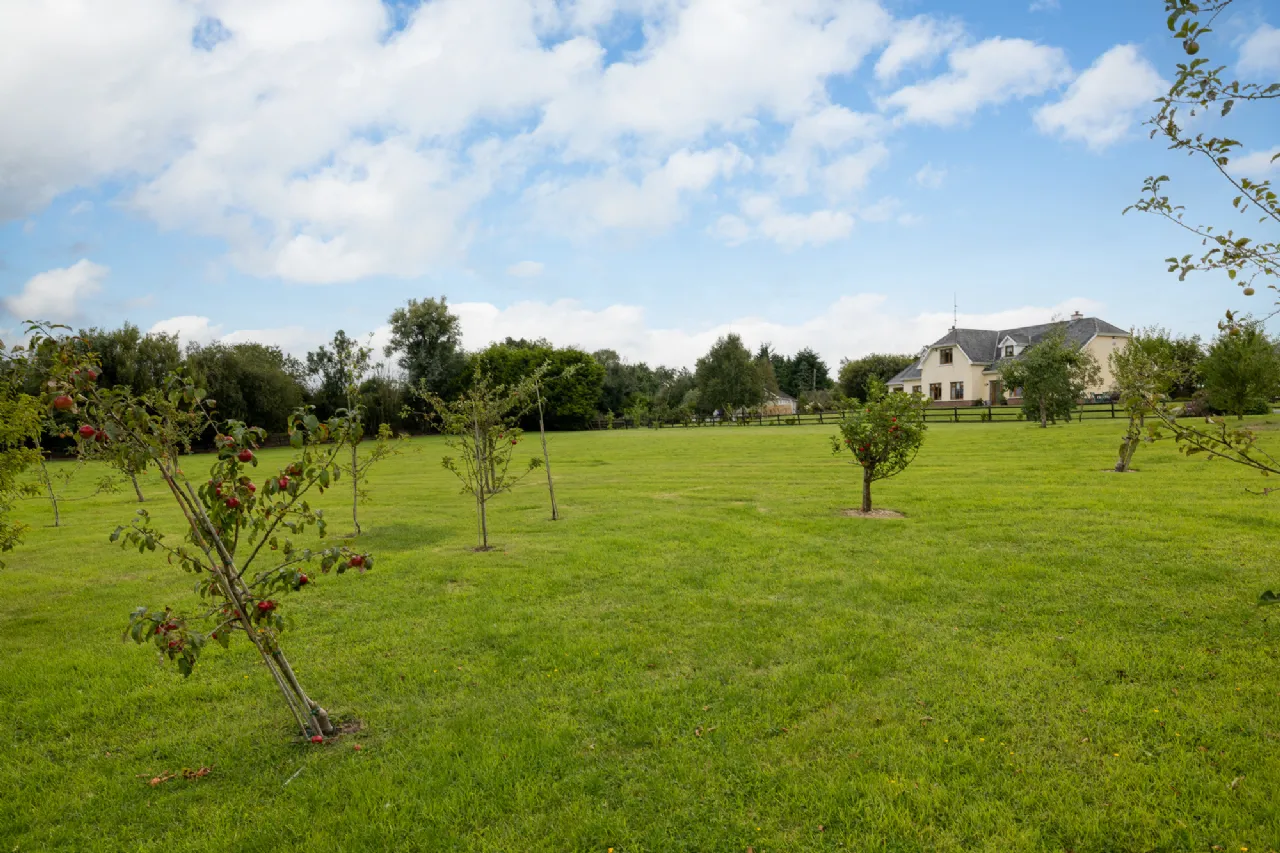 Photo of Clonganny, Ballygarrett, Co. Wexford, Y25X683