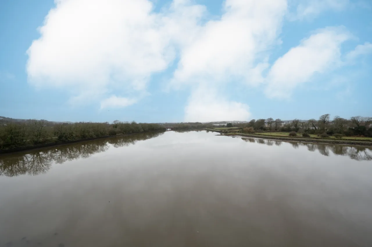 Photo of 116 The Helm, Harty's Quay, Rochestown, Cork, T12 CF60