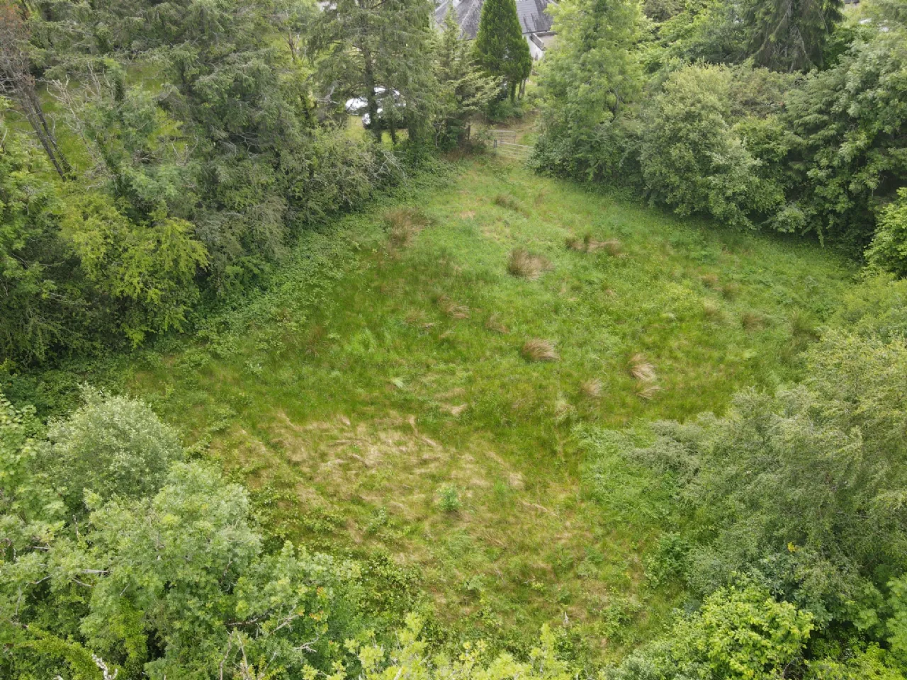 Photo of Shancurry, Drumshanbo, Co. Leitrim, N41 KA43