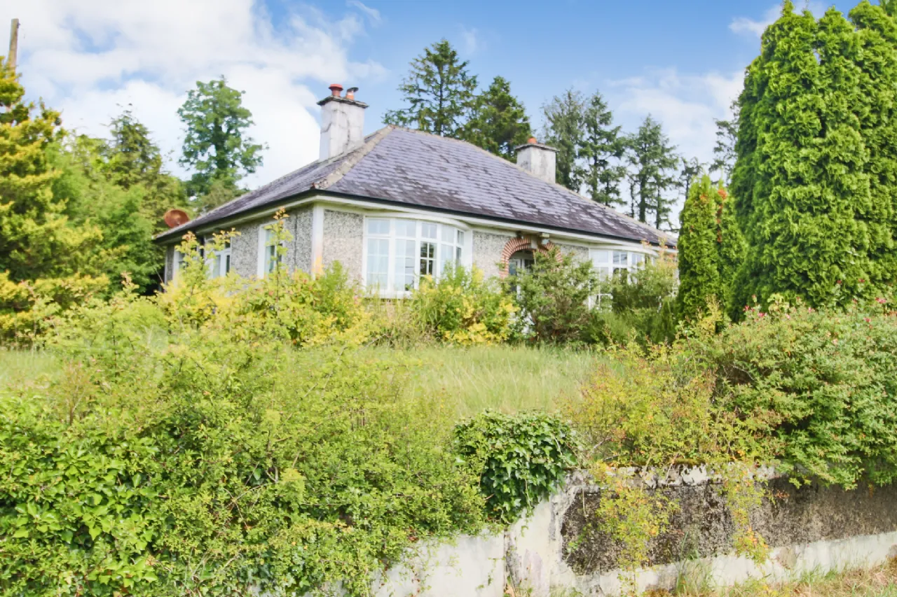 Photo of Shancurry, Drumshanbo, Co. Leitrim, N41 KA43