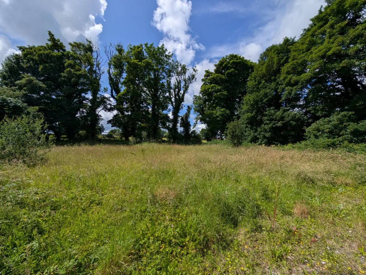 Photo of Feamore, Tulrahan, Claremorris, Co Mayo, F12A6F2