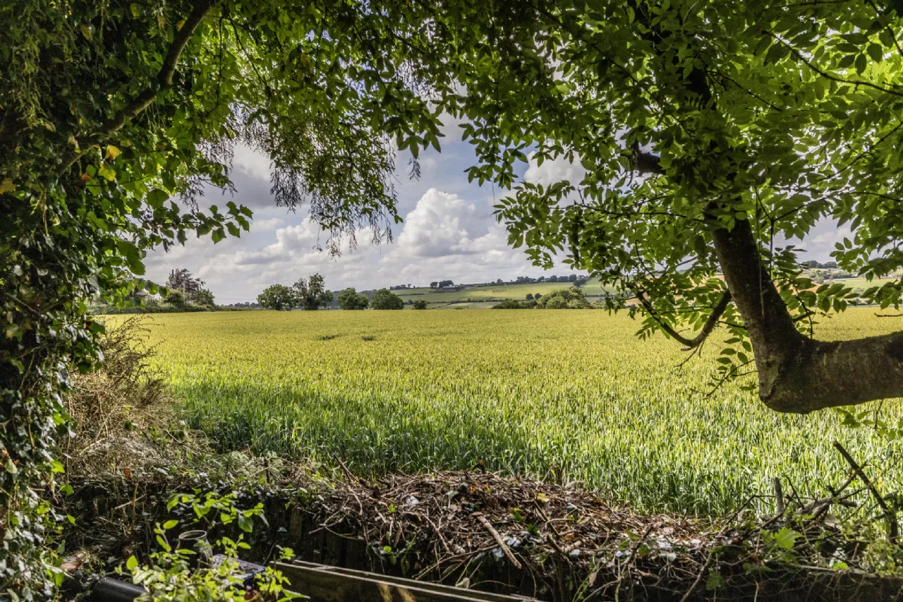 Photo of Newtown, Bellewstown,, Stamullen, Co. Meath, K32TD62