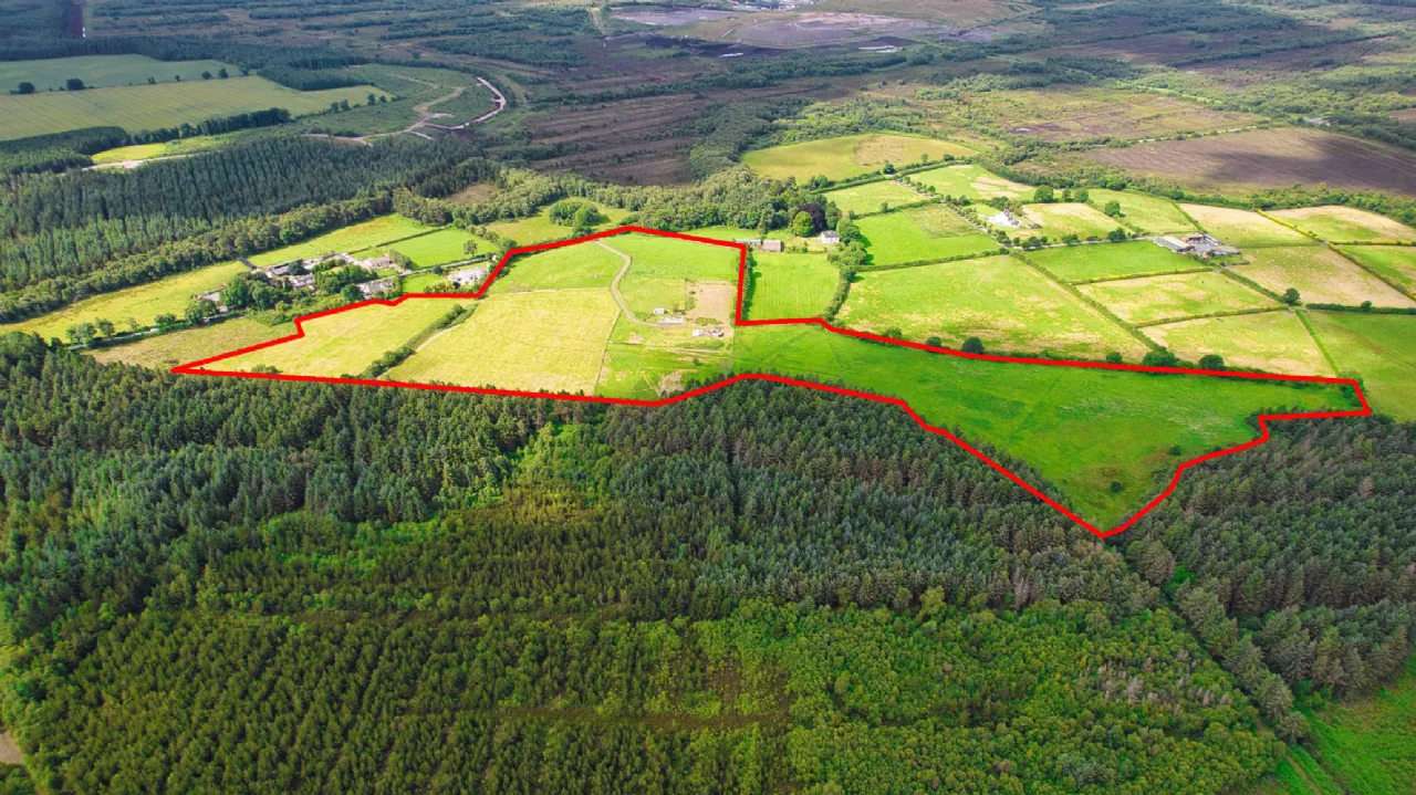 Photo of Blackwood Equestrian Centre, Derrymahon, Timahoe East, Co Kildare, W91 T2T3