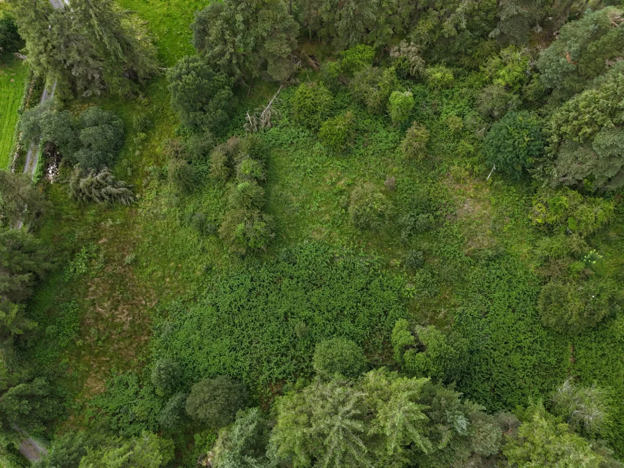 Photo of Toomore, Foxford, Co Mayo