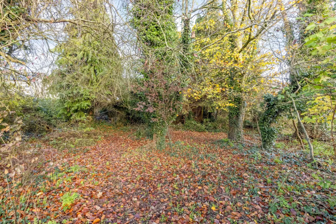 Photo of Leenane, Old Lackanash Road, Trim, Co Meath, C15 W681