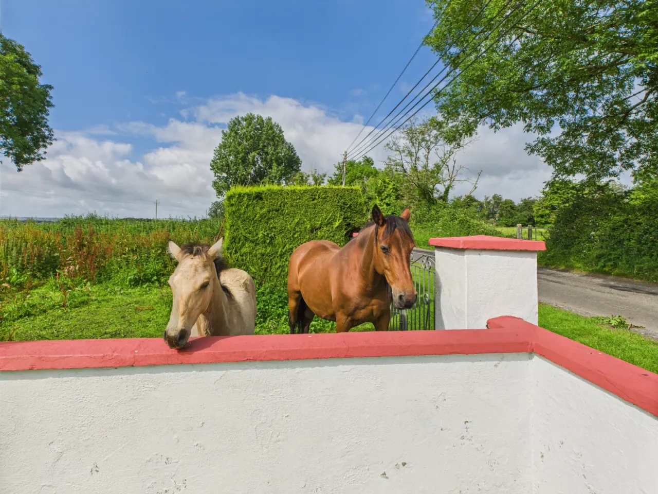 Photo of Lackabaun, Kylebrack, Loughrea, Co. Galway, H62 E209
