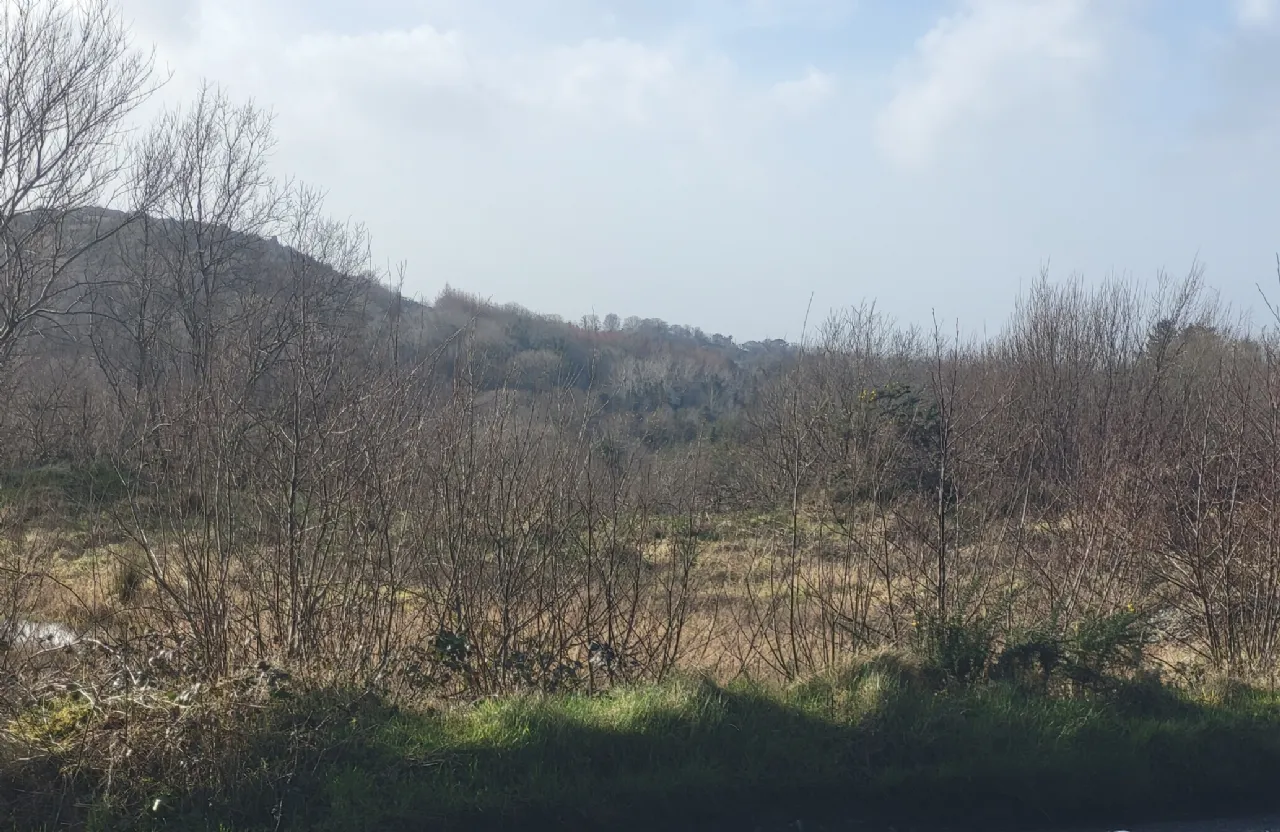 Photo of 13.44 Acres Of Land Carrowbaun, Carrowbaun, Westport, Co Mayo