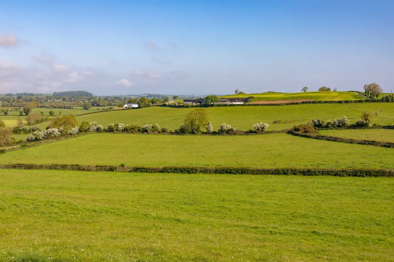 Photo of The Retreat, Lough Gur, Bruff, Co. Limerick, V35 NX96