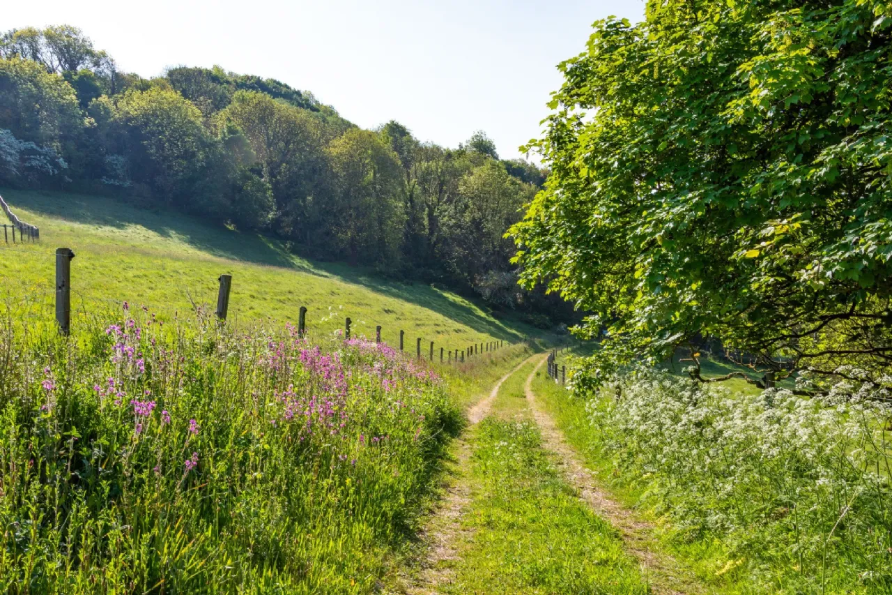 Photo of The Retreat, Lough Gur, Bruff, Co. Limerick, V35 NX96