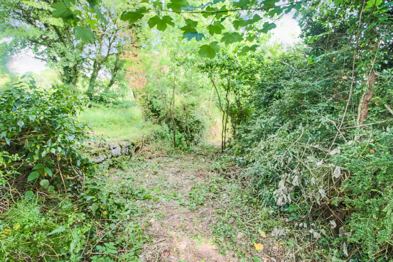 Photo of Quay Street, Drumsna, Co Leitrim, N41 CX31