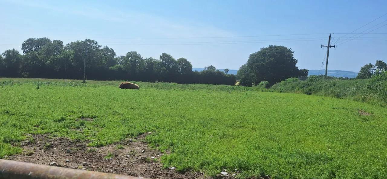 Photo of .75 Acre Site, Kilcarrig,, Bagenalstown,, Co. Carlow