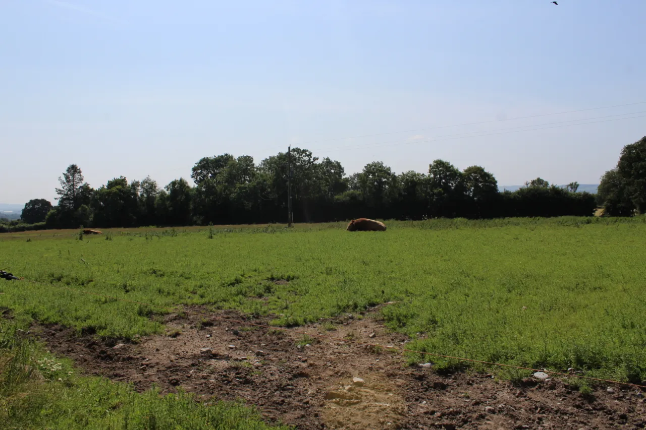 Photo of .75 Acre Site, Kilcarrig,, Bagenalstown,, Co. Carlow