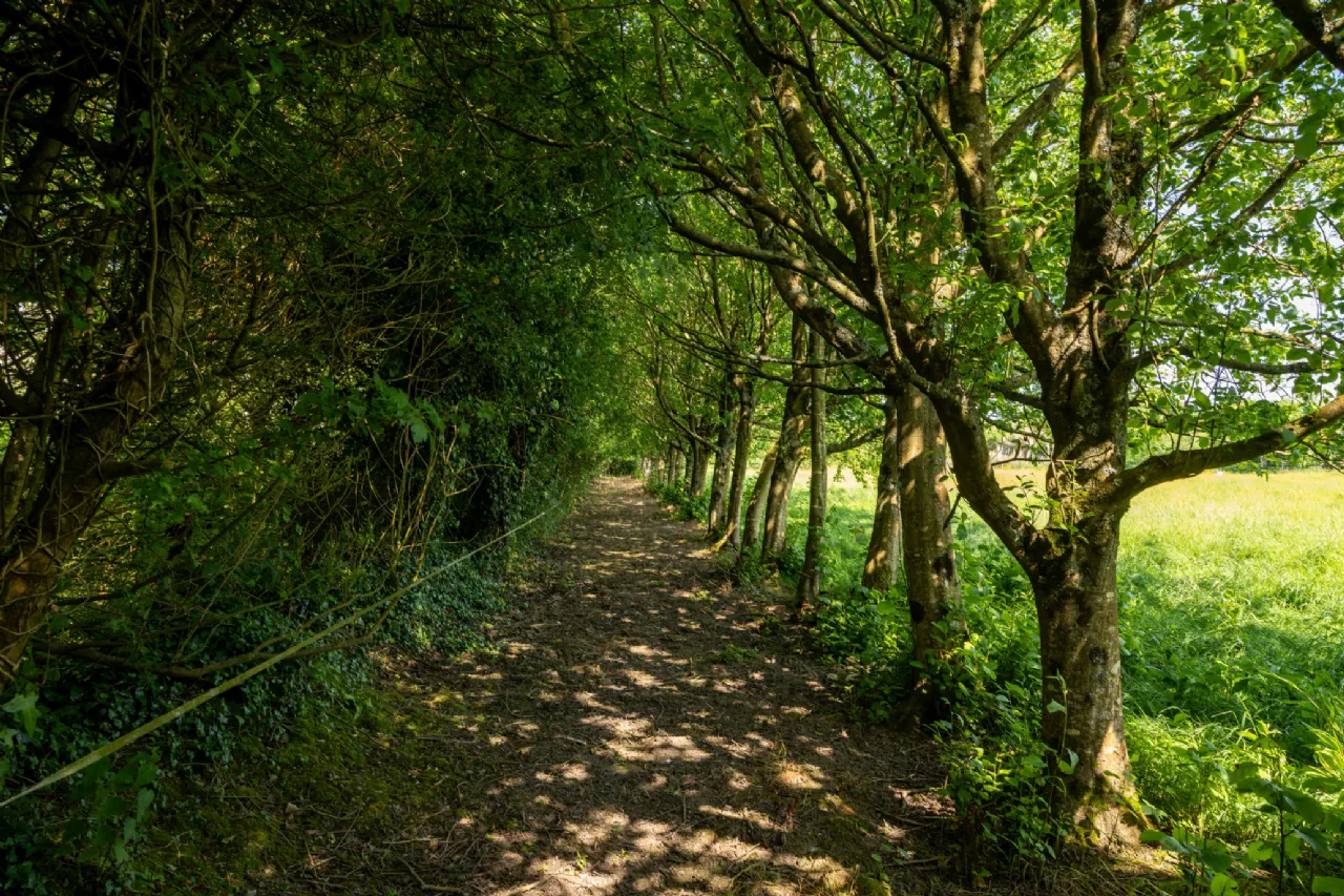 Photo of Lusty Beag, Vernegly, Bannow, Co. Wexford, Y35 AK27
