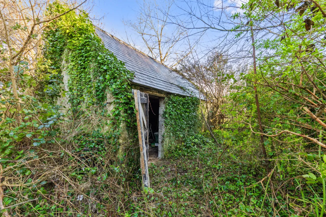 Photo of Castleworkhouse, Saltmills, Co Wexford, Y34 HX70