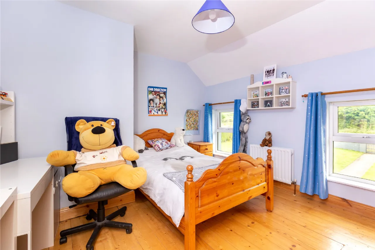 Photo of Boleycourheen, Kilnadeema, Loughrea, Co. Galway, H62 HE00