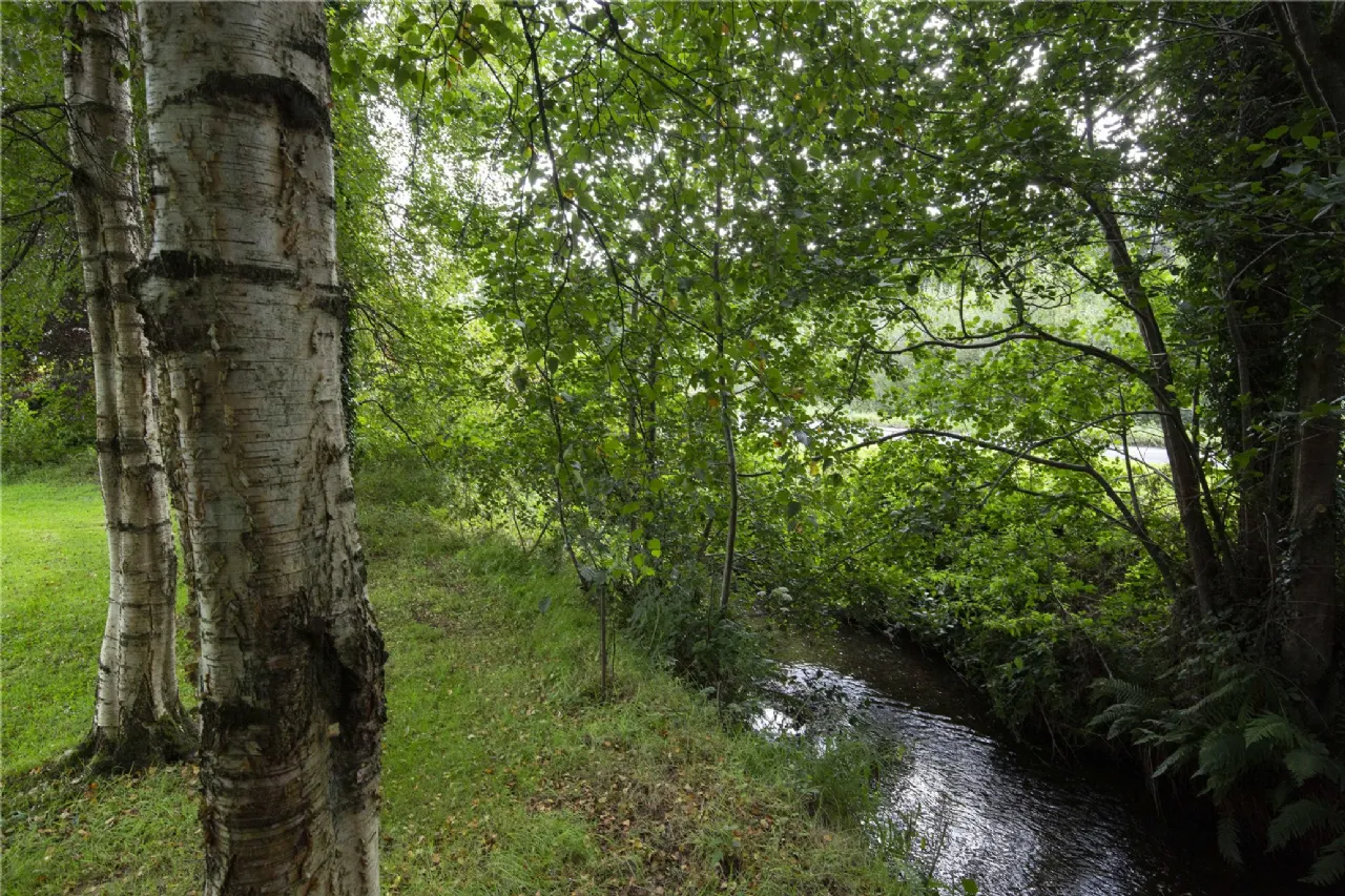 Photo of Cabra, Kingscourt, Co. Cavan, A82 TX96