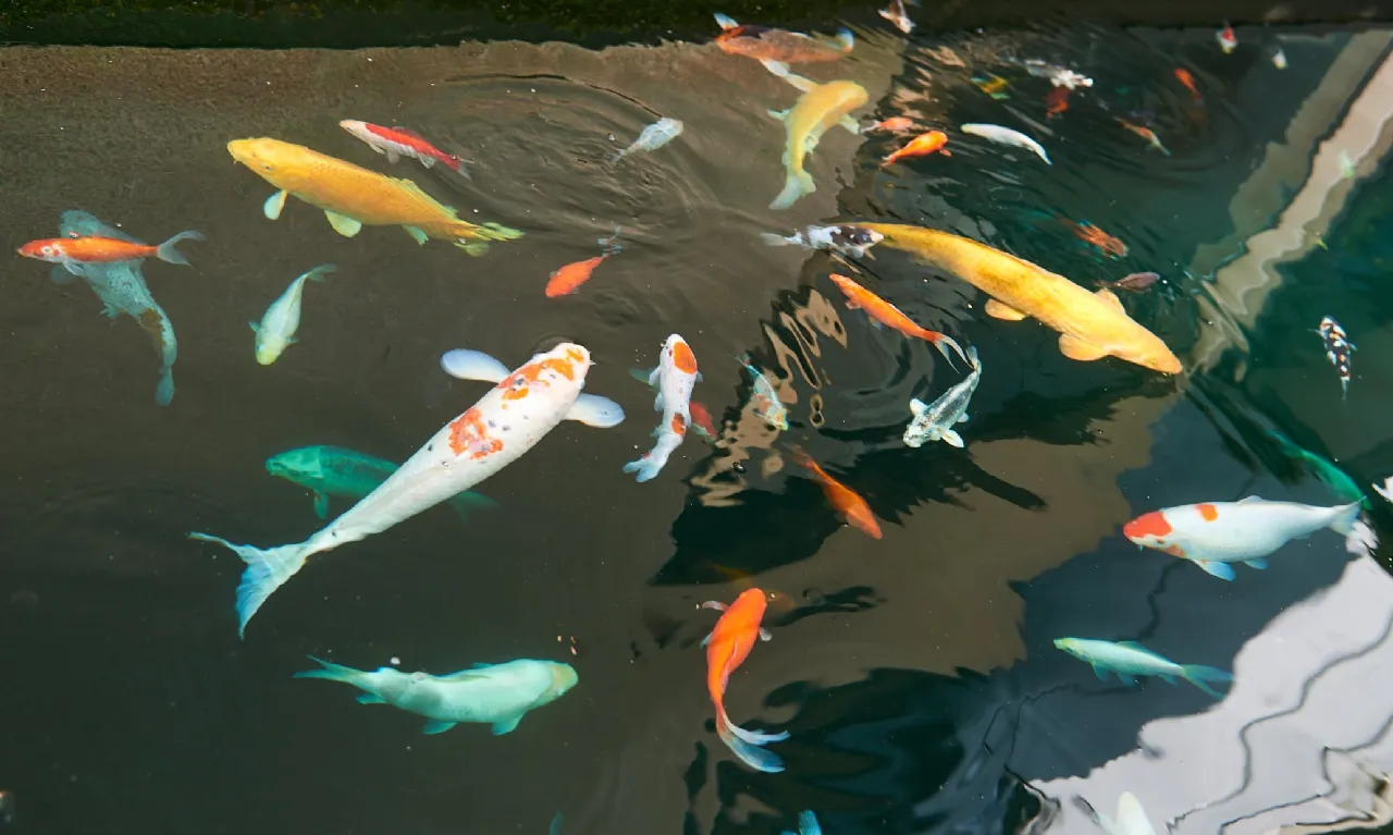 Photo of 17 Flemingstown Park, Churchtown, Dublin 14, D14 YF10