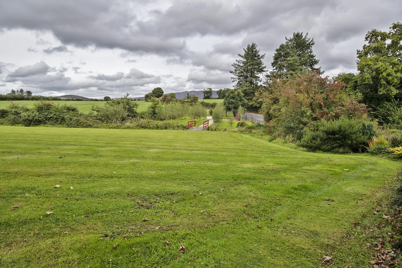 Photo of Lackendarra Larches, Ballinamult, Dungarvan, Co Waterford, E91V5W7