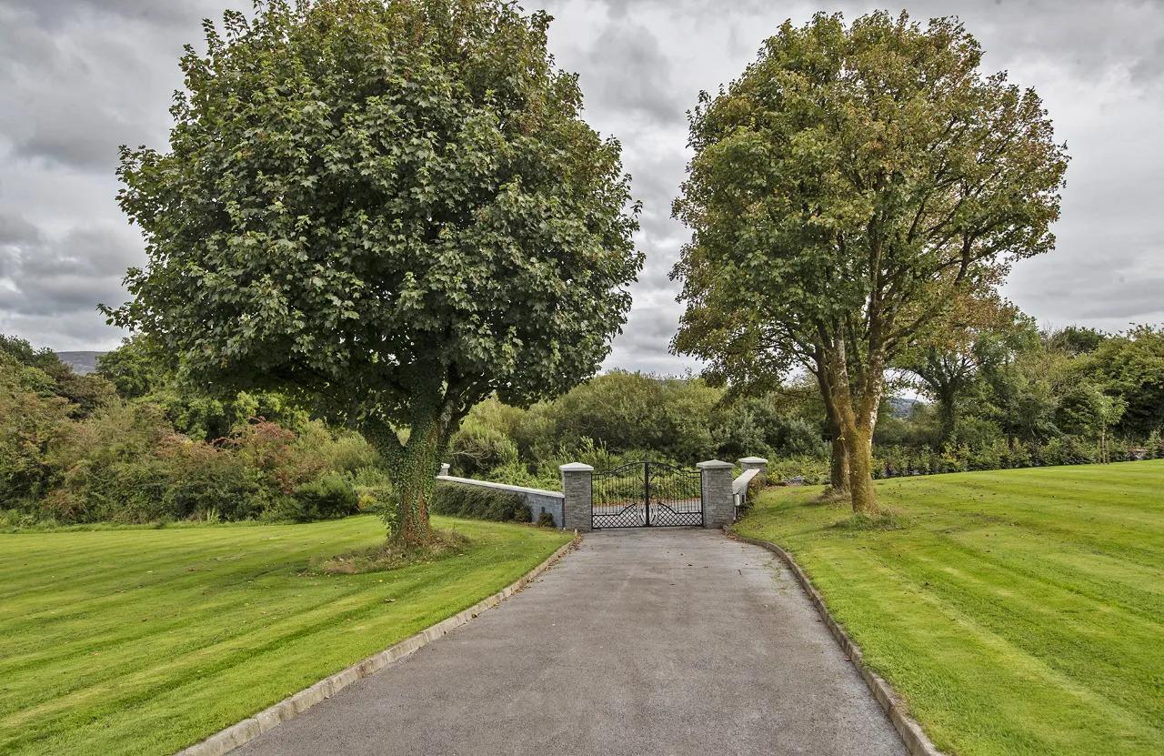 Photo of Lackendarra Larches, Ballinamult, Dungarvan, Co Waterford, E91V5W7