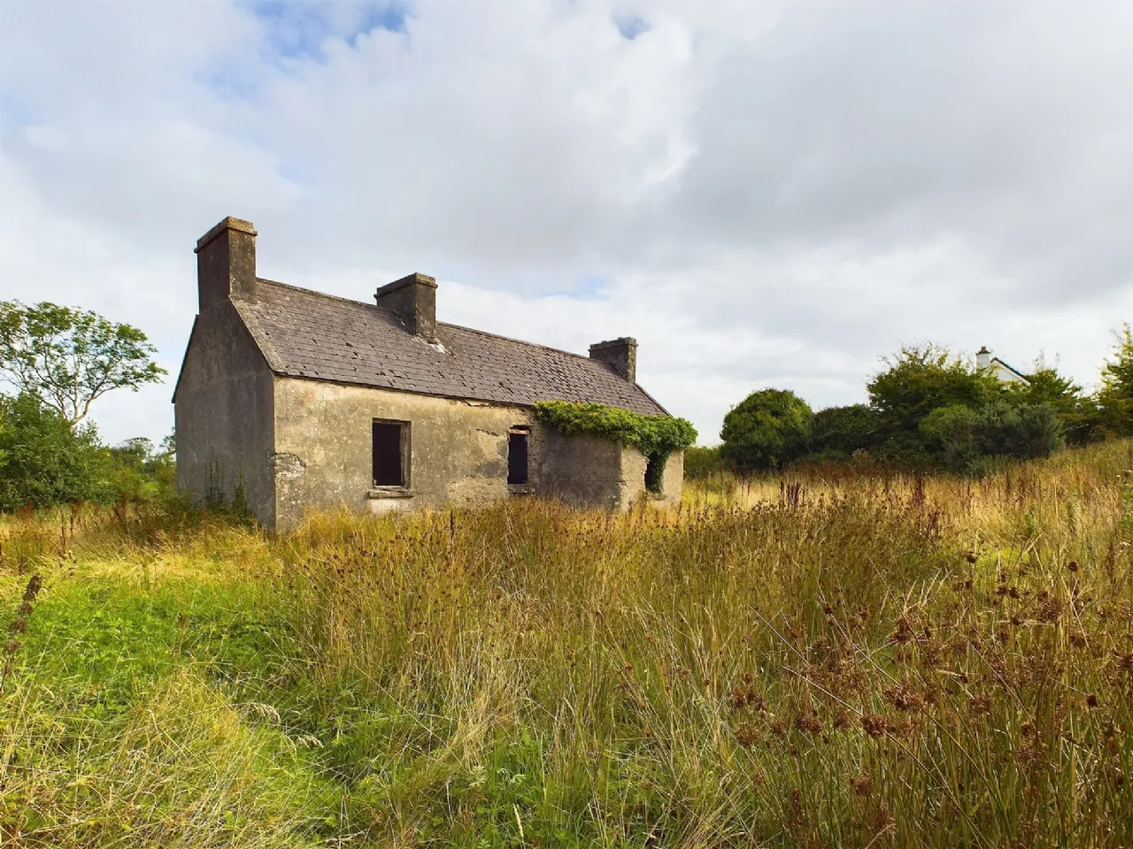 Photo of Tullagower, Cooraclare, Kilrush, Co. Clare, V15 H324