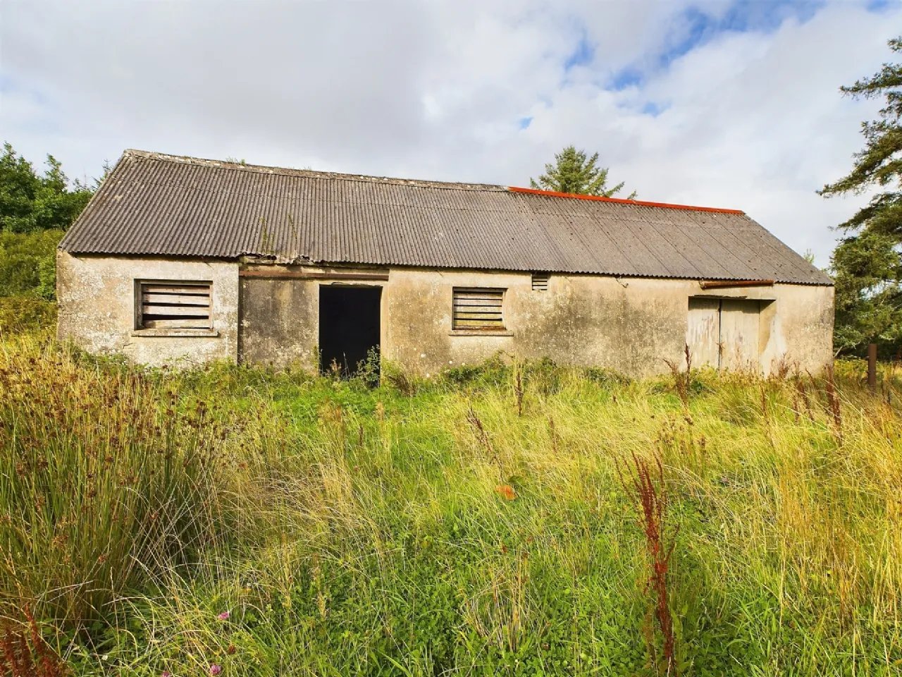 Photo of Tullagower, Cooraclare, Kilrush, Co. Clare, V15 H324