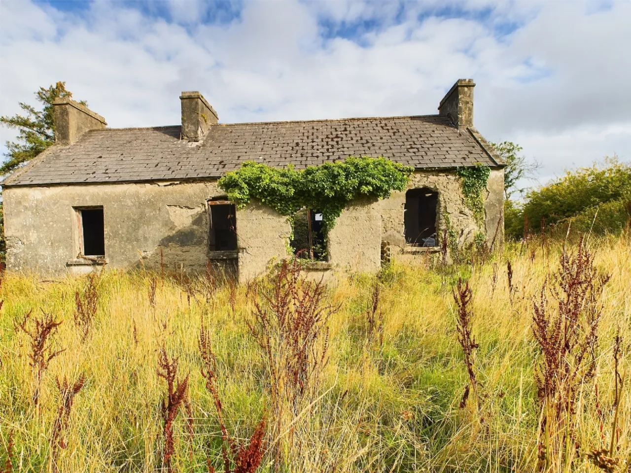 Photo of Tullagower, Cooraclare, Kilrush, Co. Clare, V15 H324