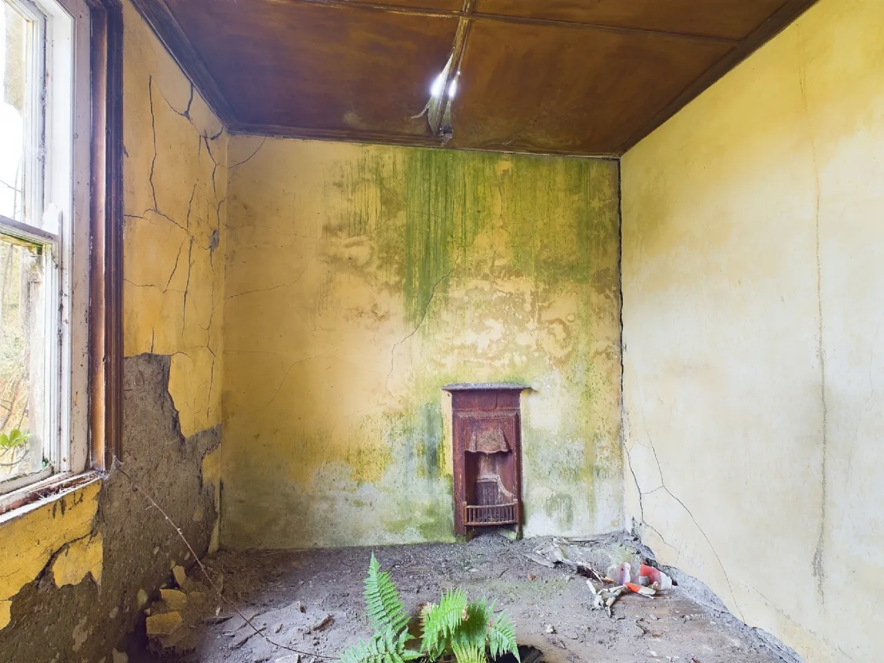 Photo of Tullagower, Cooraclare, Kilrush, Co. Clare, V15 H324