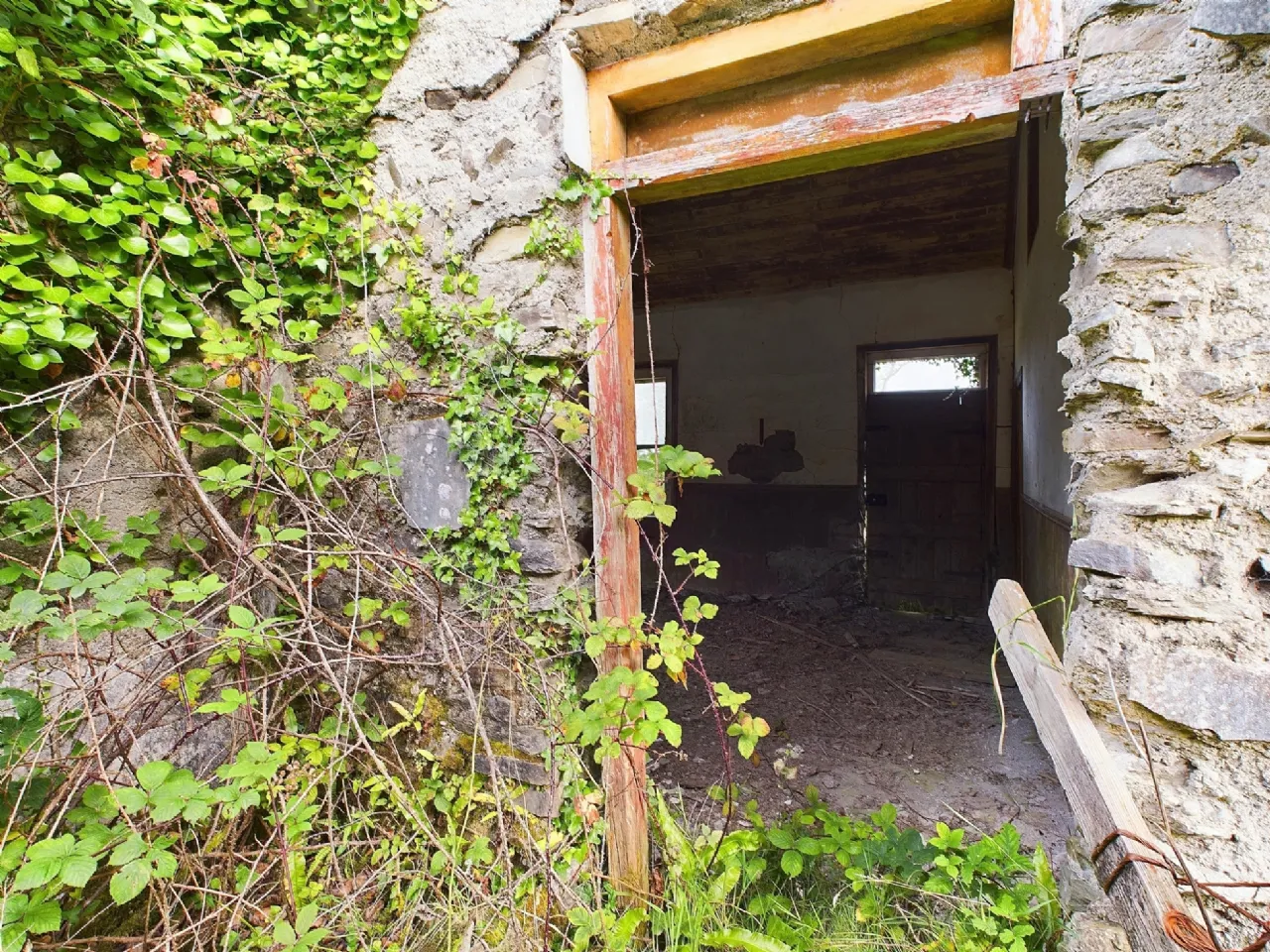 Photo of Tullagower, Cooraclare, Kilrush, Co. Clare, V15 H324