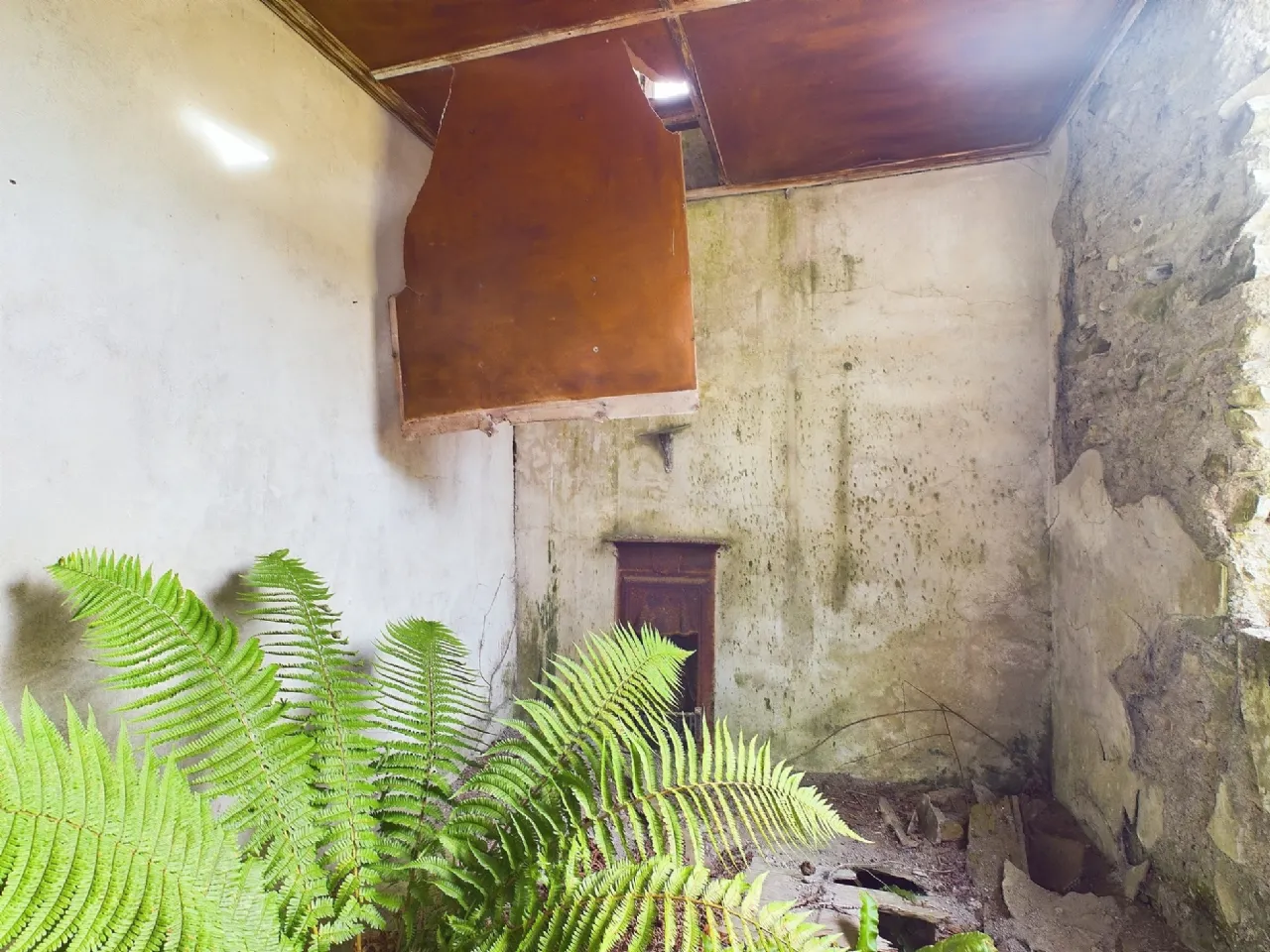Photo of Tullagower, Cooraclare, Kilrush, Co. Clare, V15 H324