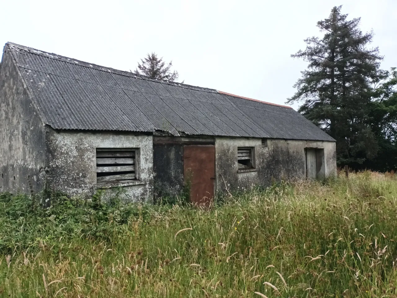 Photo of Tullagower, Cooraclare, Kilrush, Co. Clare, V15 H324
