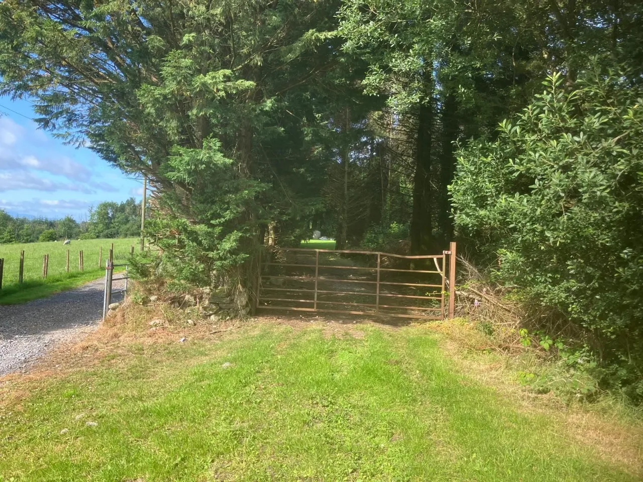 Photo of Ballinaguile, Kiltegan, Co. Wicklow, Chalet On 3.617, W91 T3F1