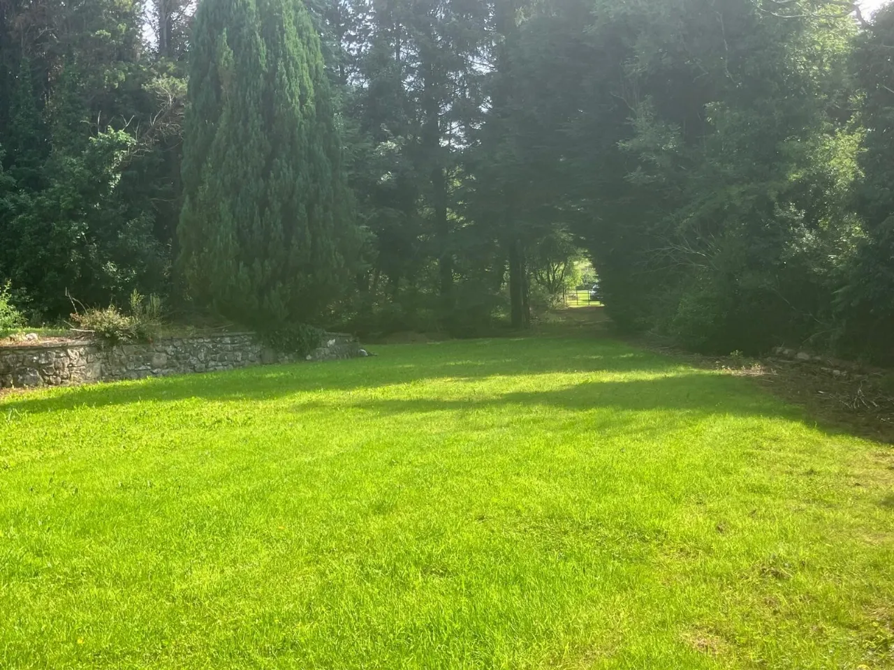 Photo of Ballinaguile, Kiltegan, Co. Wicklow, Chalet On 3.617, W91 T3F1