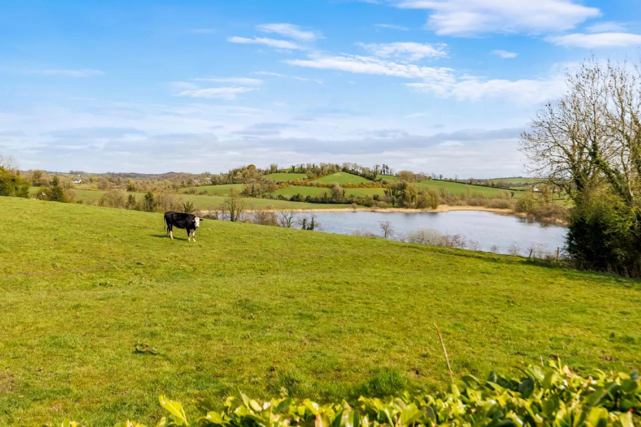 Photo of Barragh House, Ashfield, Cootehill, Co Cavan, H16RX22