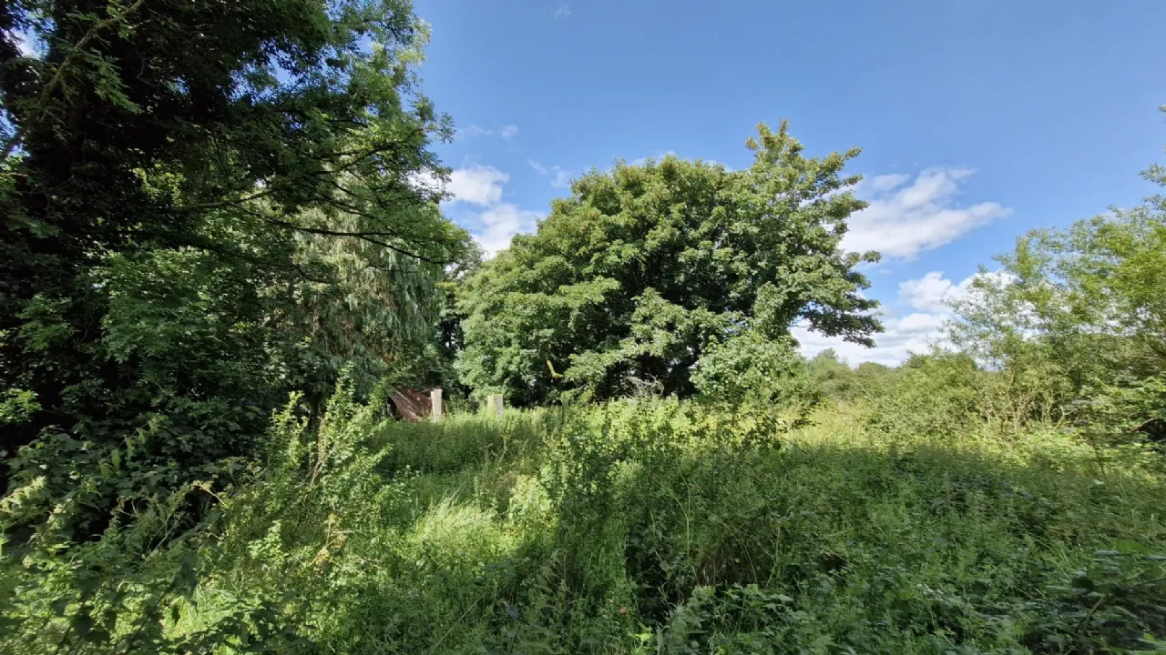 Photo of Cloonbrusk, Garrafrauns, Dunmore, Co. Galway, H54 AP92