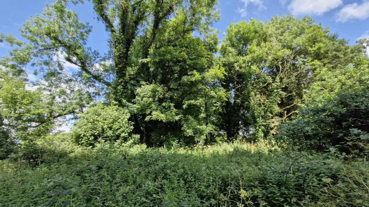 Photo of Cloonbrusk, Garrafrauns, Dunmore, Co. Galway, H54 AP92