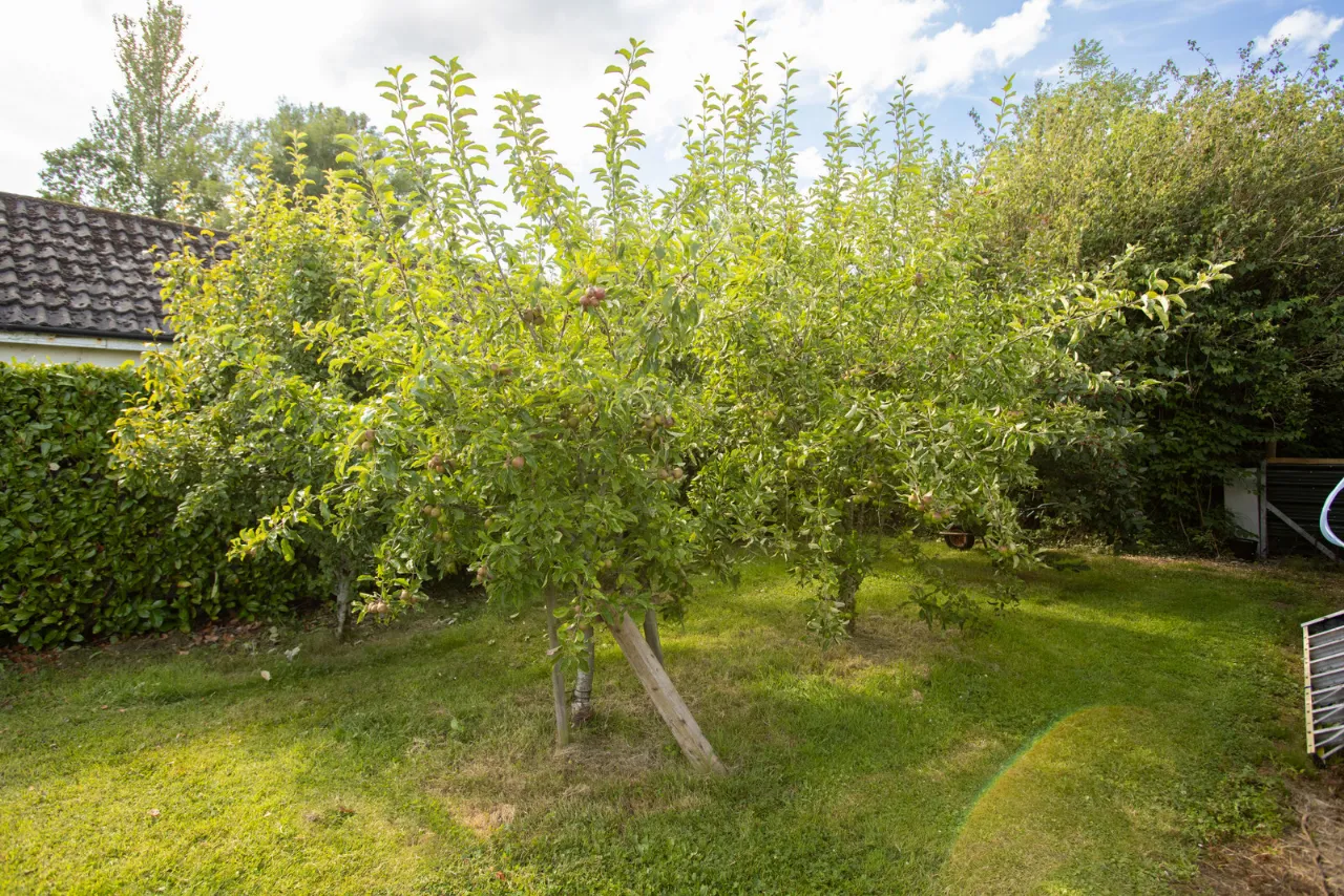 Photo of Birdhaven Cottage, Dublin Road, Milltownpass, Co. Westmeath., N91H7K8