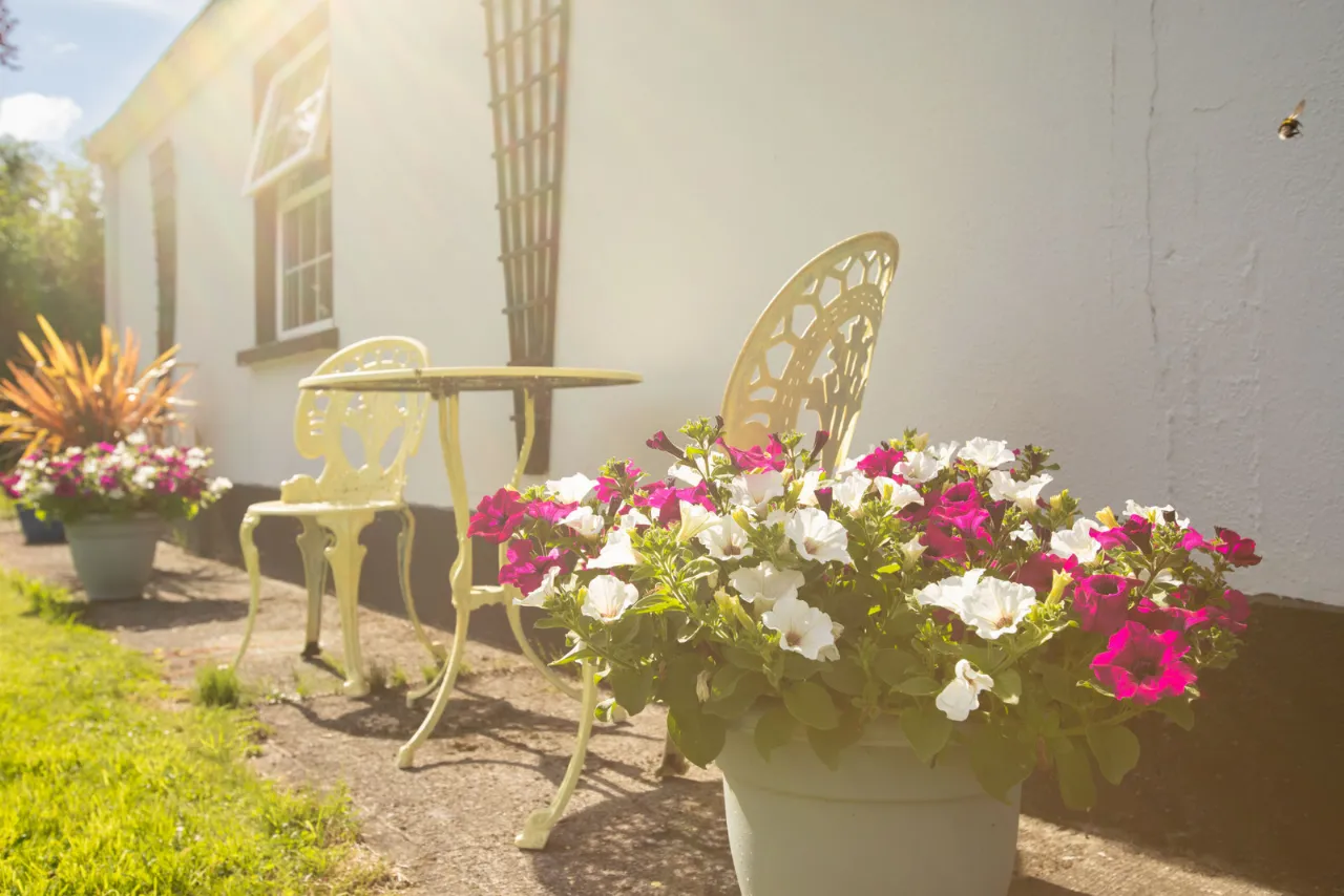 Photo of Birdhaven Cottage, Dublin Road, Milltownpass, Co. Westmeath., N91H7K8