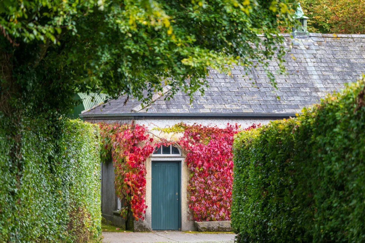 Photo of Ballysallagh House, Kilkenny, County Kilkenny, R95 A6P1