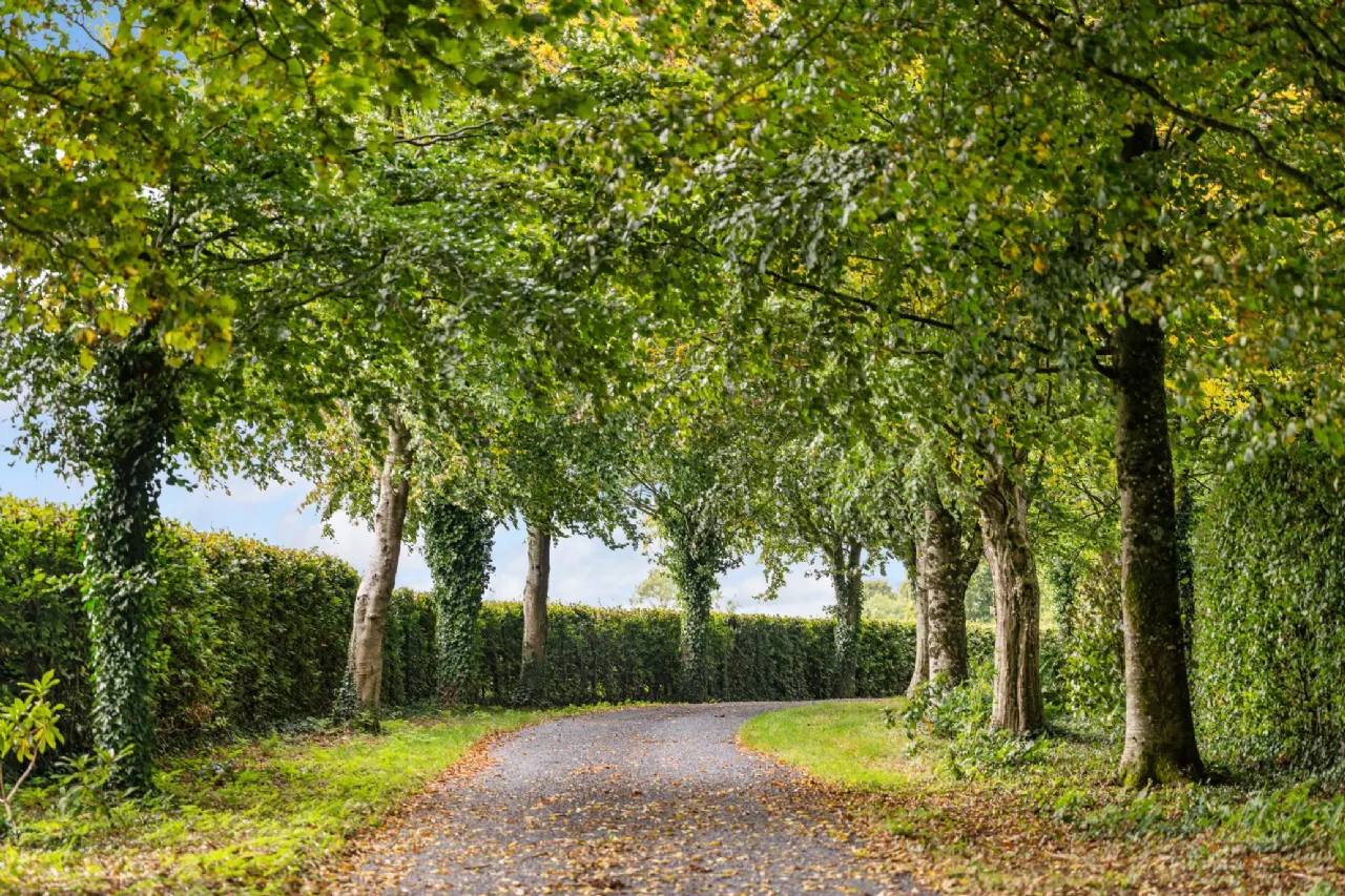 Photo of Ballysallagh House, Kilkenny, County Kilkenny, R95 A6P1