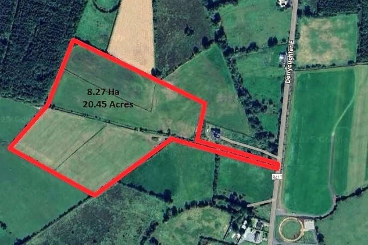 Photo of 20.45 Acres / 8.276 Hectares At, Derryoughter East, Kildangan, Co. Kildare
