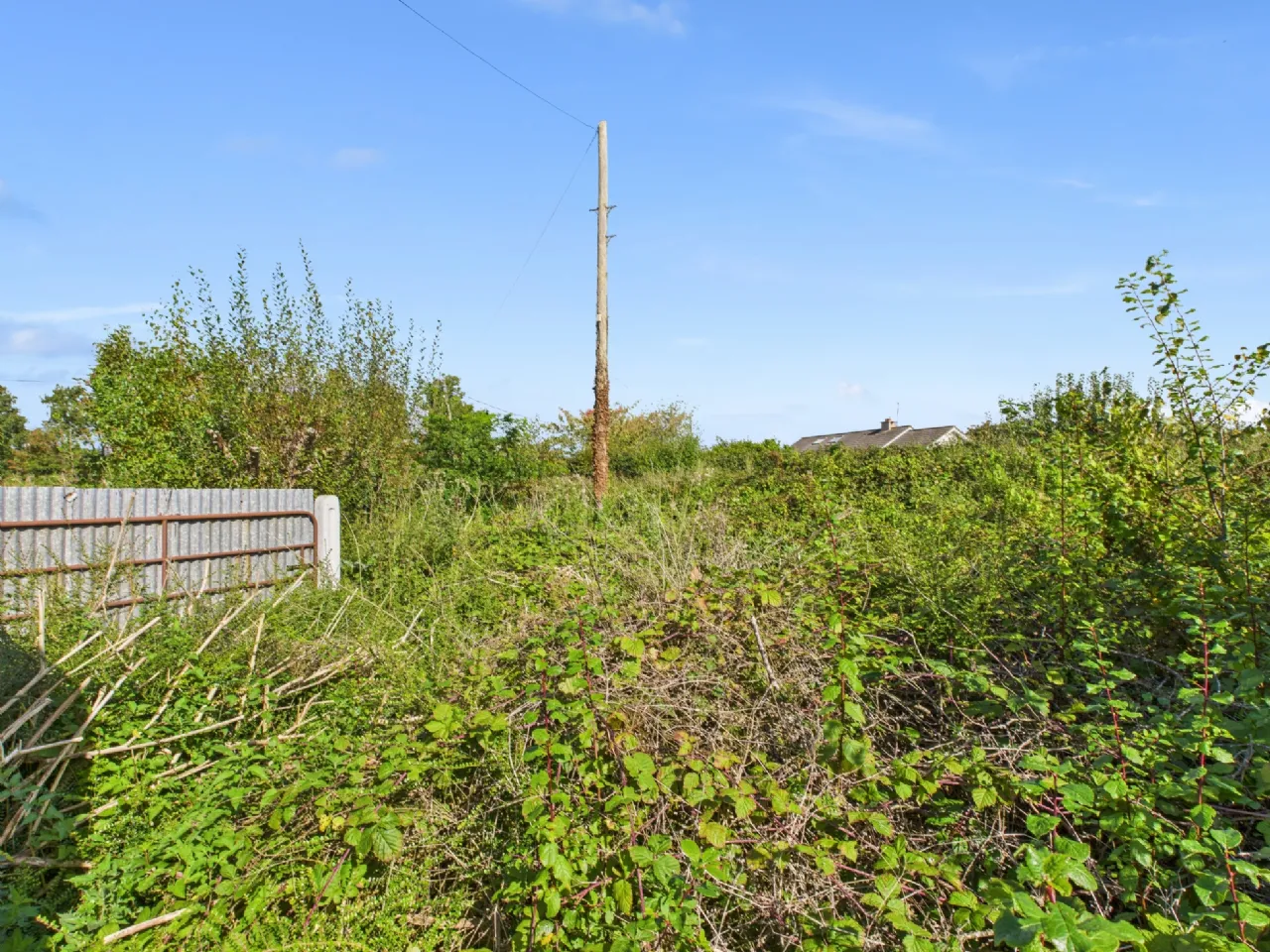 Photo of Sheeaun, Boula, Portumna, Co. Galway, H53 H2N1