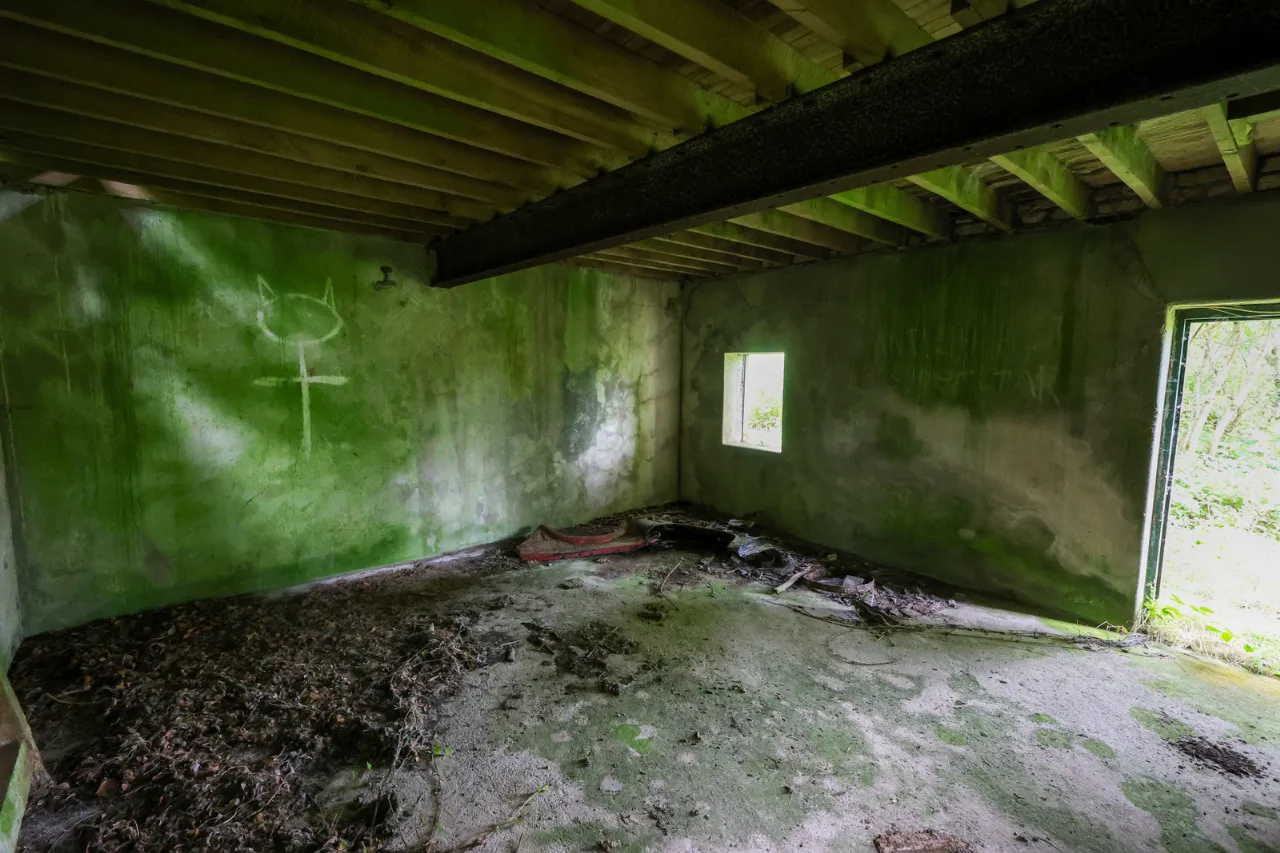 Photo of Derelict Mill, Forgney, Ballymahon, Co. Longford